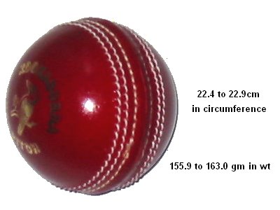 Cricket Pitch and Ball Details